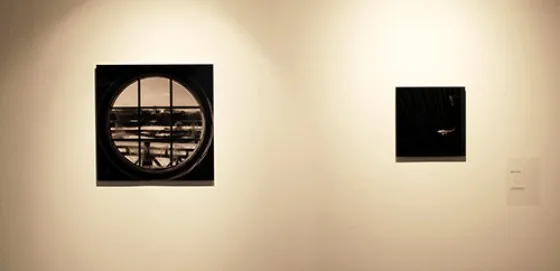 'Rhapsody in Peace' 展