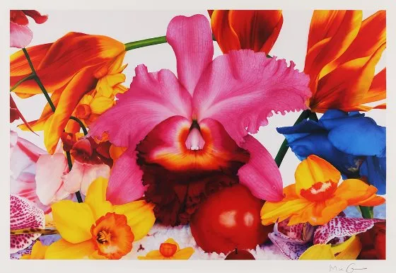 Marc Quinn