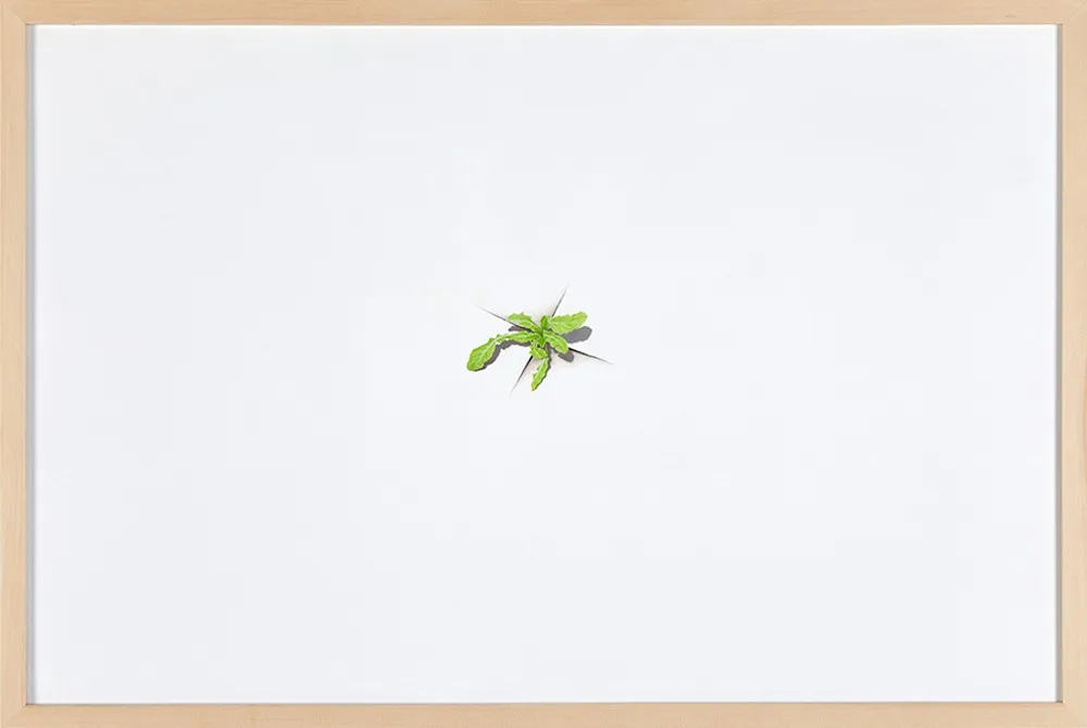 Yeo Woon Kim