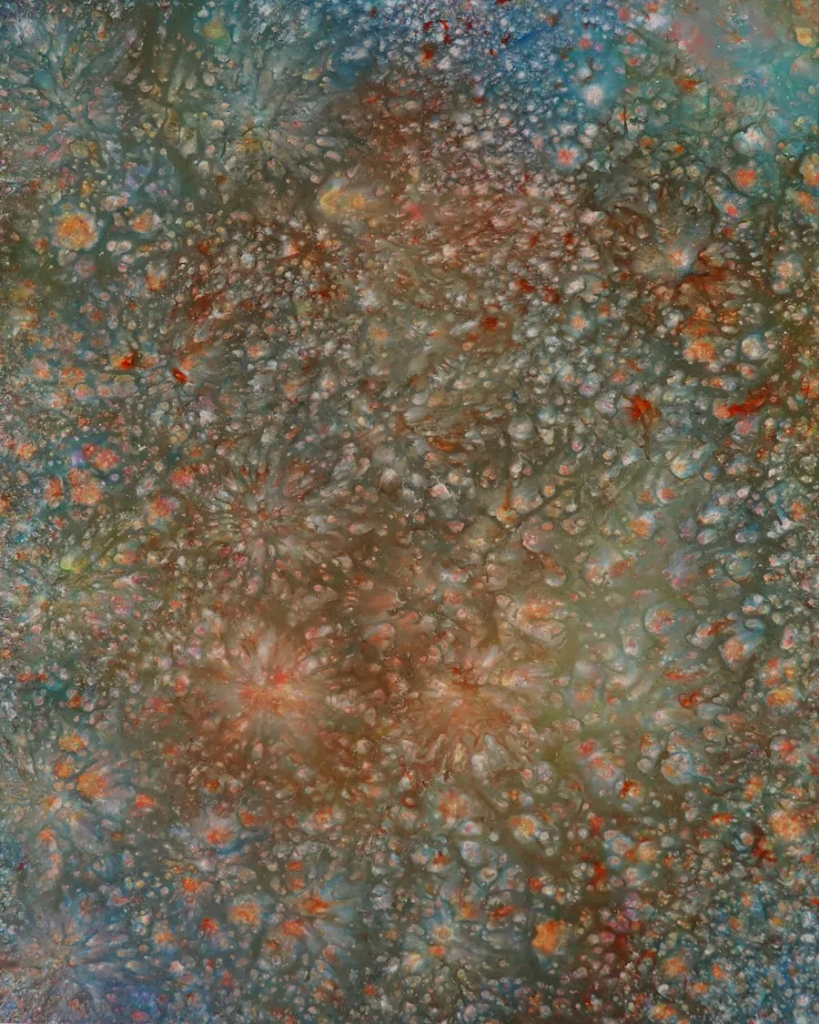 Internal L. Universe Series 133, 91×72.7cm, Acrylic on canvas