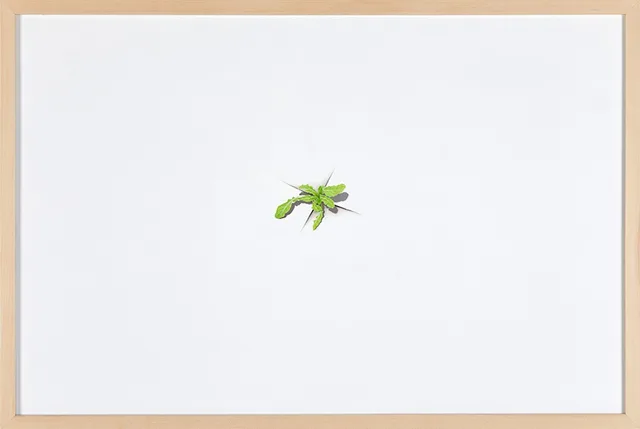 김여운
